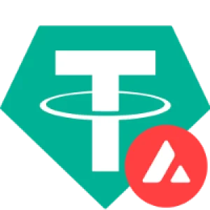 Tether USDT (Avalanche)